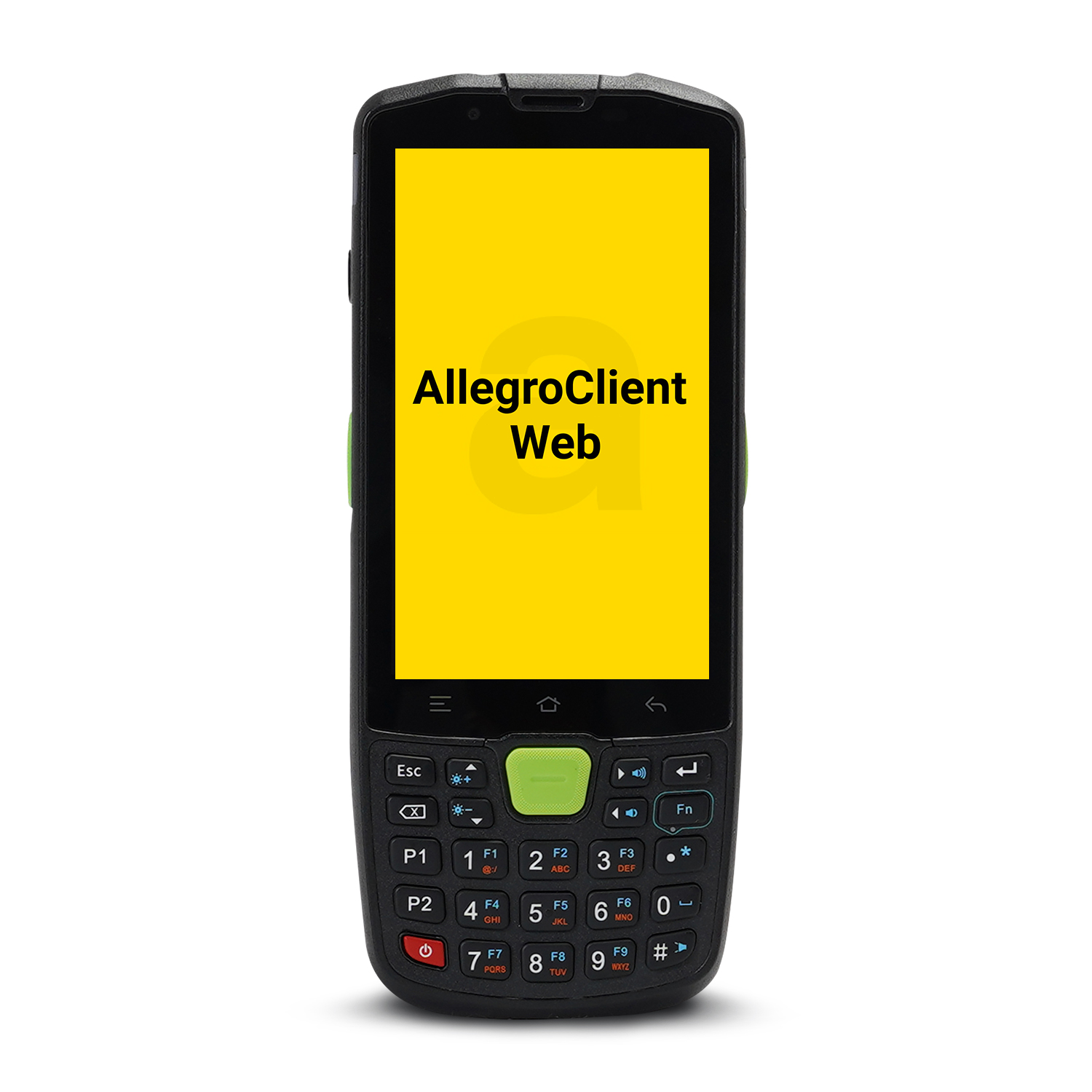 Программа AllegroClient-Web (9075)